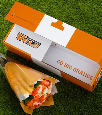 alt_BD70_330x370_1 alt_BD70_330x370_1